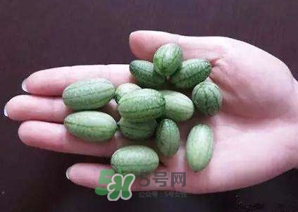 拇指西瓜怎么吃？拇指西瓜好吃嗎