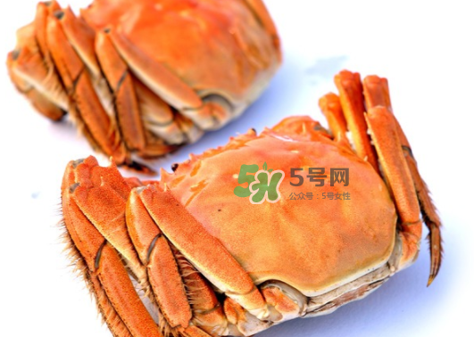 板蟹蒸多長時間？板蟹蒸多久時間能熟？