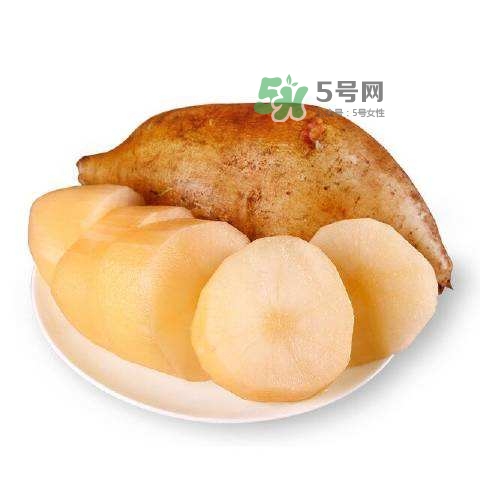 雪蓮果怎么挑？雪蓮果怎么儲(chǔ)存方法？
