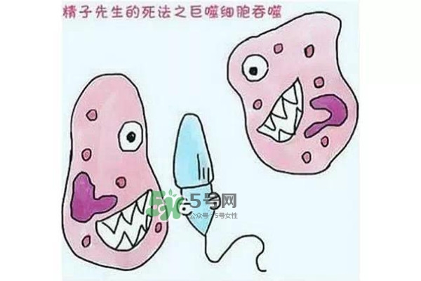 殺精的食物有哪些？吃什么東西殺精？