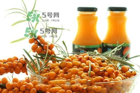 沙棘是什么？沙棘的功效與作用