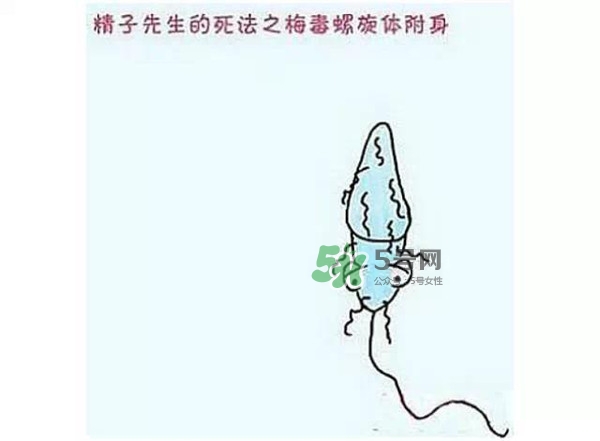 殺精的食物有哪些？吃什么東西殺精？