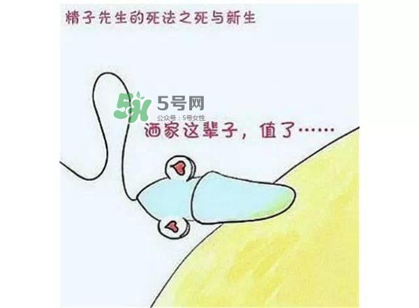 殺精的食物有哪些？吃什么東西殺精？