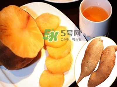 雪蓮果怎么挑？雪蓮果怎么儲(chǔ)存方法？