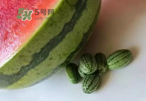 拇指西瓜什么時候上市？拇指西瓜什么時候成熟