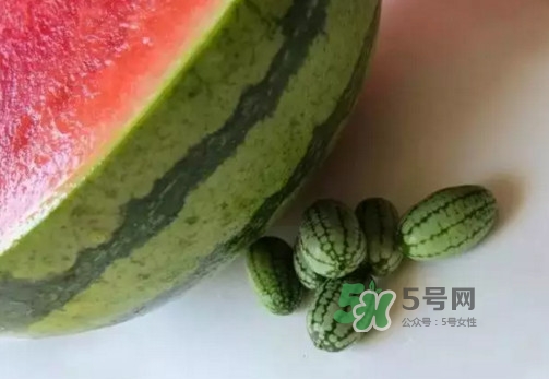 拇指西瓜多少錢一斤？拇指西瓜一口能吃幾個？