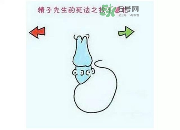 殺精的食物有哪些？吃什么東西殺精？