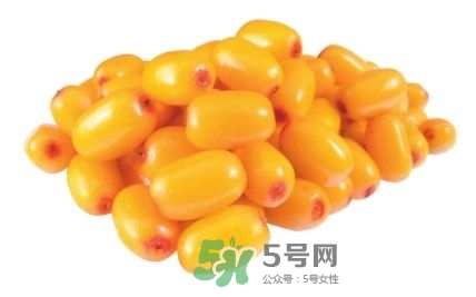 沙棘怎么吃？沙棘果的食用禁忌