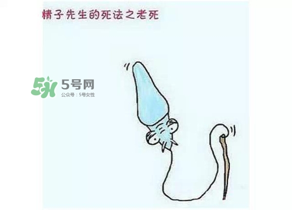 殺精的食物有哪些？吃什么東西殺精？
