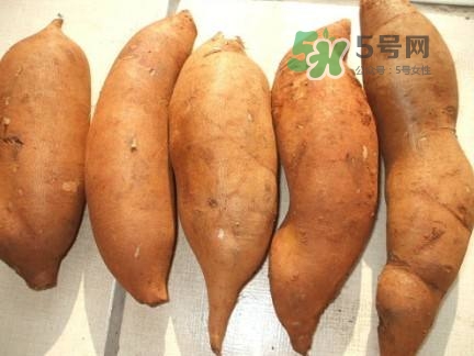 雪蓮果是水果嗎？雪蓮果是什么季節(jié)的水果？