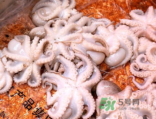 八爪魚可以冷凍嗎？八爪魚可以放冰箱嗎？