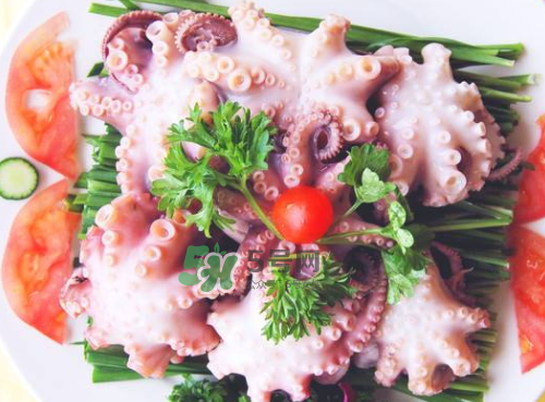 八爪魚什么地方不能吃？八爪魚哪里不能吃？