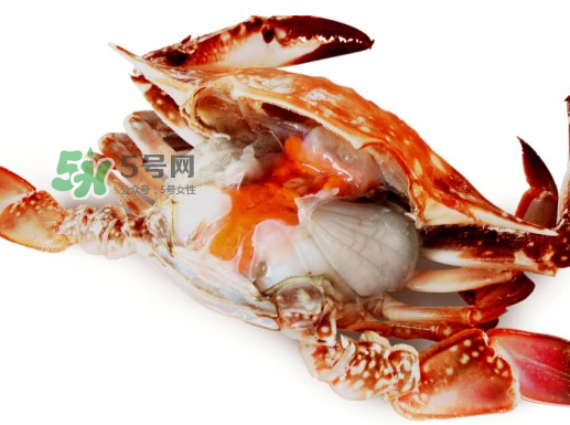 吃梭子蟹會胖嗎？梭子蟹吃了會胖嗎？ 