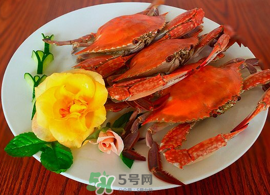 吃梭子蟹會胖嗎？梭子蟹吃了會胖嗎？ 