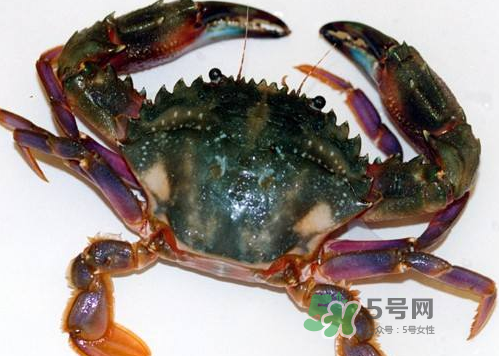 螃蟹腿藍色的是什么？螃蟹腿為什么是藍色？