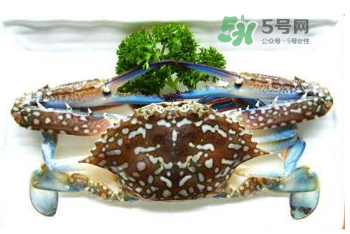 螃蟹腿藍色的是什么？螃蟹腿為什么是藍色？