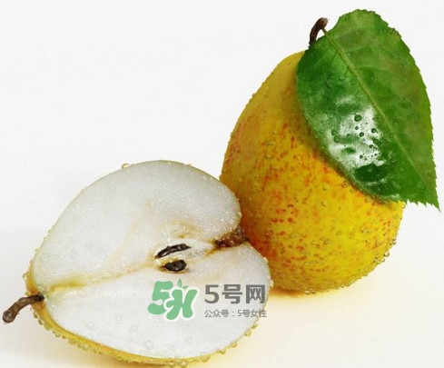 梨子核可以種盆栽嗎？梨子籽怎么種小盆栽