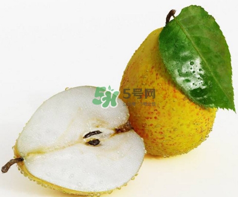 為什么梨子是溫度最高的水果？梨子什么人不能吃