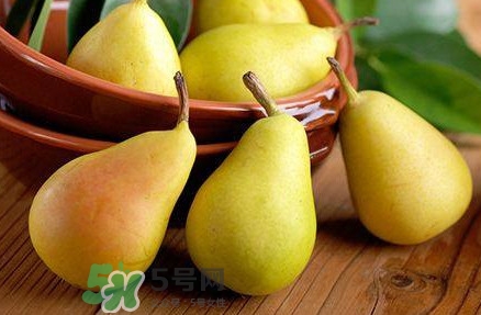 哪里的梨子最好吃？什么品種的梨子最好吃