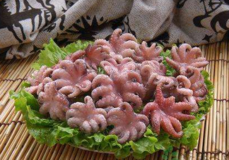 八爪魚煮多久才好？八爪魚需要煮多久？