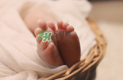 孕婦怎么吃燕窩最好？哪些孕媽需要吃燕窩？