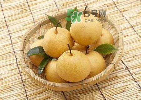 梨子怎么保存？梨子可以放冰箱嗎