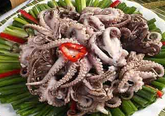 八爪魚可以冷凍嗎？八爪魚可以放冰箱嗎？