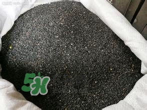 怎么看男人腎好不好？男人腎虛吃什么調(diào)理？