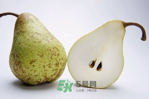 梨子核可以種盆栽嗎？梨子籽怎么種小盆栽
