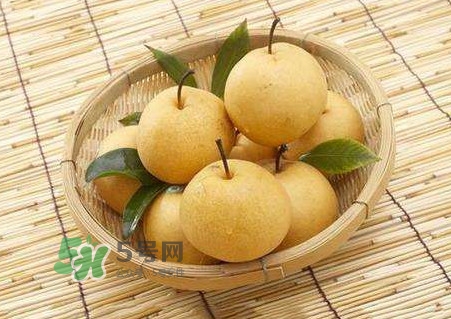 買梨子怎么挑選？梨子外面為什么要包張紙