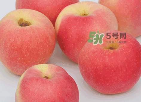嘎啦蘋果什么時候摘袋？嘎啦果什么時候成熟上市
