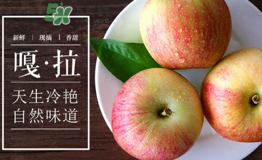 嘎啦蘋果多少錢？嘎啦果多少錢一斤