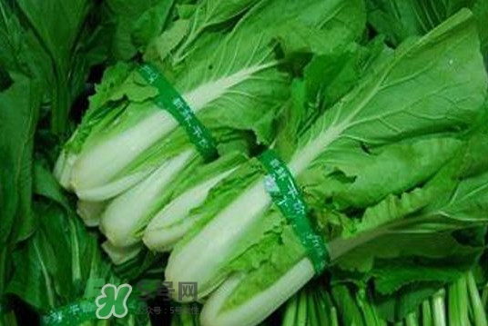 水白菜可以吃嗎？水白菜能吃嗎