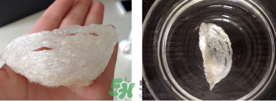 燕窩用什么鍋燉最好吃？燕窩用什么器具燉最好？