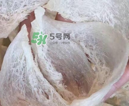 燕窩里面含有激素嗎？燕窩兒童吃了會不會性早熟？