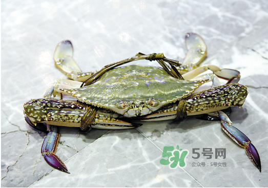 梭子蟹可以和酸奶一起吃嗎？吃完梭子蟹能喝酸奶嗎？