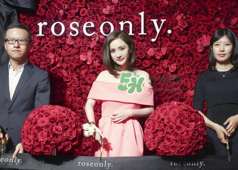 roseonly怎么樣？roseonly好看嗎？