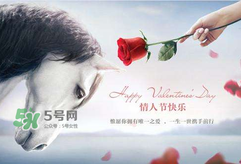 roseonly怎么樣？roseonly好看嗎？