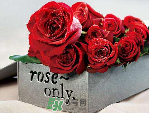 roseonly怎么樣？roseonly好看嗎？