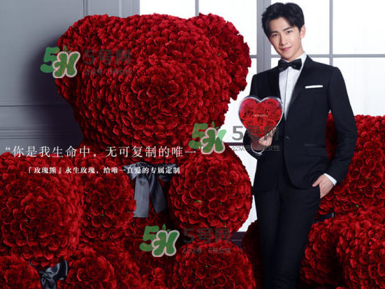 roseonly熊什么材質(zhì)？roseonly玫瑰熊是真花嗎？