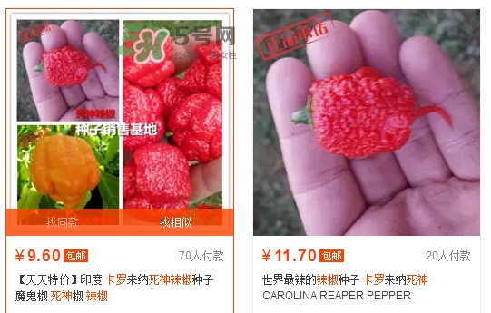 卡羅萊納死神辣椒中國(guó)有嗎？死神辣椒哪里有賣(mài)