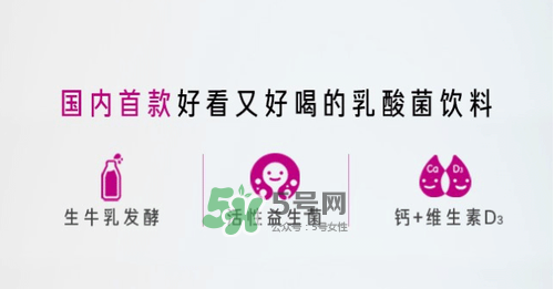 每日活菌乳酸菌多少錢一瓶？每日活菌乳酸菌好喝嗎？