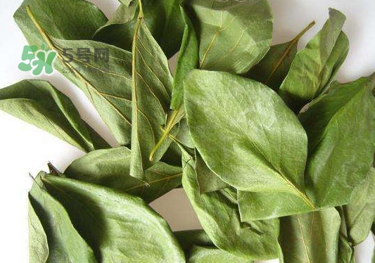 怎樣制作柿子葉茶？柿子葉茶的做法