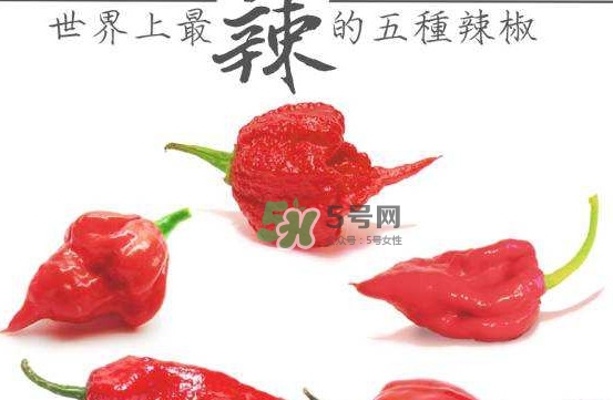 卡羅萊納死神辣椒中國(guó)有嗎？死神辣椒哪里有賣(mài)