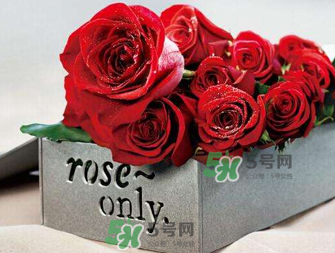 roseonly怎么看真假？roseonly真假對比