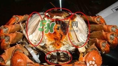 螃蟹怎么吃好吃？螃蟹和什么一起吃最好？