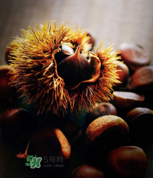 板栗能補(bǔ)腎嗎？板栗補(bǔ)腎陰還是腎陽？