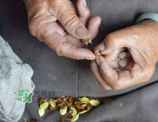 皂角米是怎么剝出來(lái)的？皂角米是酸性還是堿性