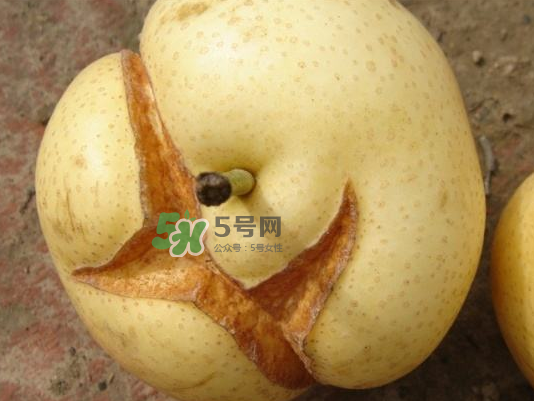 皇冠梨雞爪病能吃嗎？皇冠梨雞爪病怎么辦？