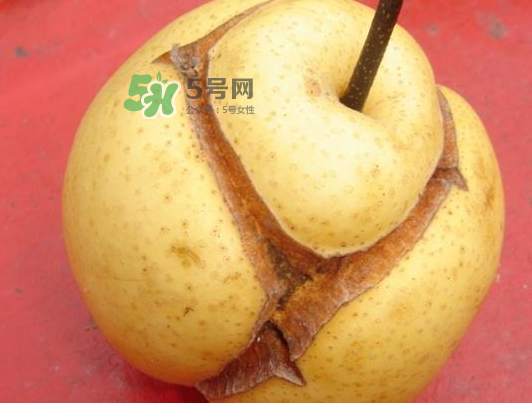 皇冠梨雞爪病能吃嗎？皇冠梨雞爪病怎么辦？